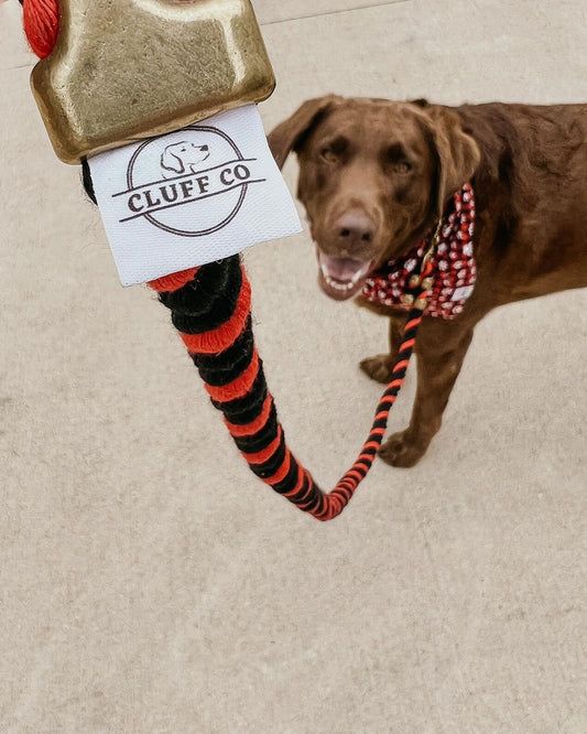 Best Leashes of This Year - Cluff CO LLC