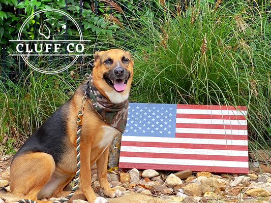 Why you should use an American Made Dog Leash from Cluff Co - Cluff CO LLC